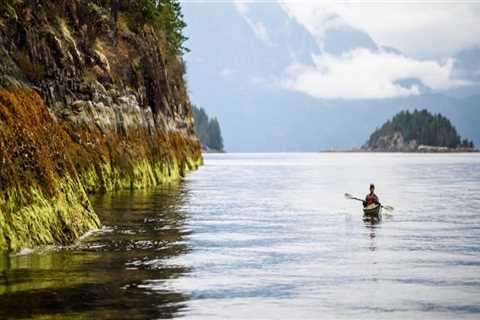 Discover British Columbia's Hidden Gems: Jet Ski Tours With Hassle-Free Boat Dock Access