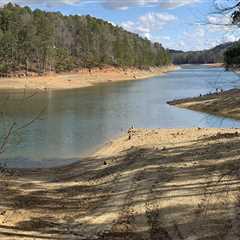 Discovering the Hidden Beauty of Bartow County, Georgia Through Scenic Drives