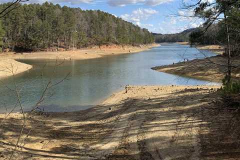 Discovering the Hidden Beauty of Bartow County, Georgia Through Scenic Drives