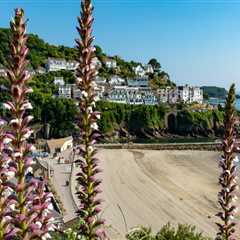 Discover Hidden Gems: What Makes Outdoor Excursion Tours Worth the Journey