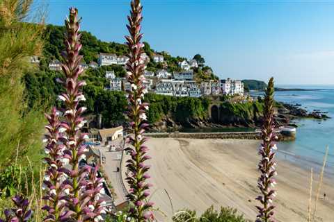 Discover Hidden Gems: What Makes Outdoor Excursion Tours Worth the Journey