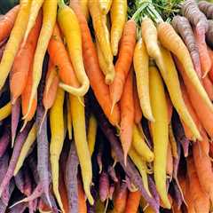 Discovering the Vibrant Farming Culture of King County, Washington