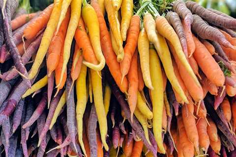 Discovering the Vibrant Farming Culture of King County, Washington