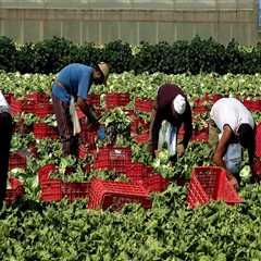 From Farm to Freight: How Train Shipping Keeps Agriculture Moving