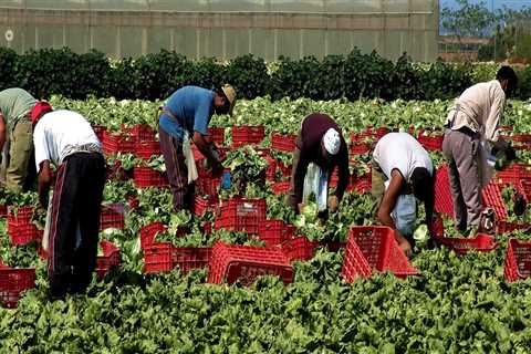 From Farm to Freight: How Train Shipping Keeps Agriculture Moving