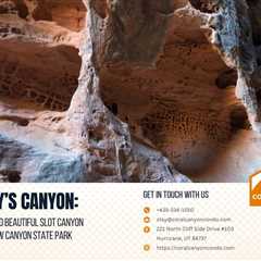 Jenny’s Canyon: A Short and Beautiful Slot Canyon Hike in Snow Canyon State Park