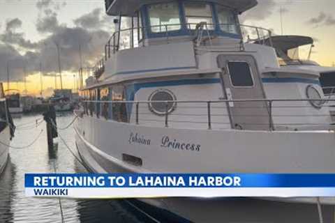 Whale watching returns to Lahaina Harbor