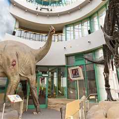 Exploring the Best Museums in Central North Carolina: A Guide to Top Tourist Spots