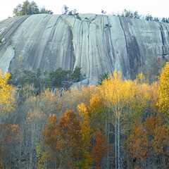 Discovering Hidden Gems: Must-Visit Tourist Spots in Central North Carolina
