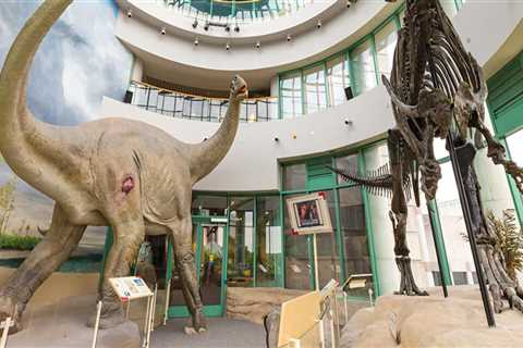 Exploring the Best Museums in Central North Carolina: A Guide to Top Tourist Spots