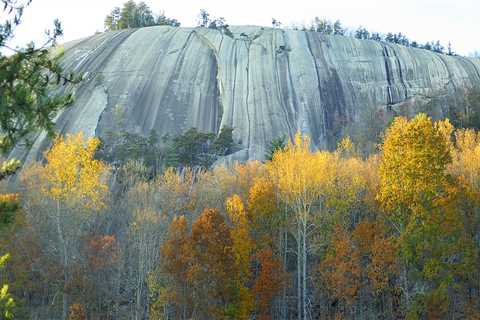 Discovering Hidden Gems: Must-Visit Tourist Spots in Central North Carolina