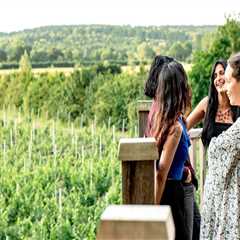 Hosting Special Celebrations Around Vineyard Tours