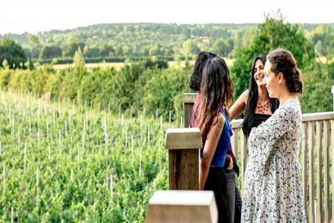 Hosting Special Celebrations Around Vineyard Tours